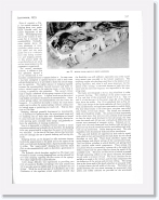 TC05 * 4820 x 6290 * (11.12MB)